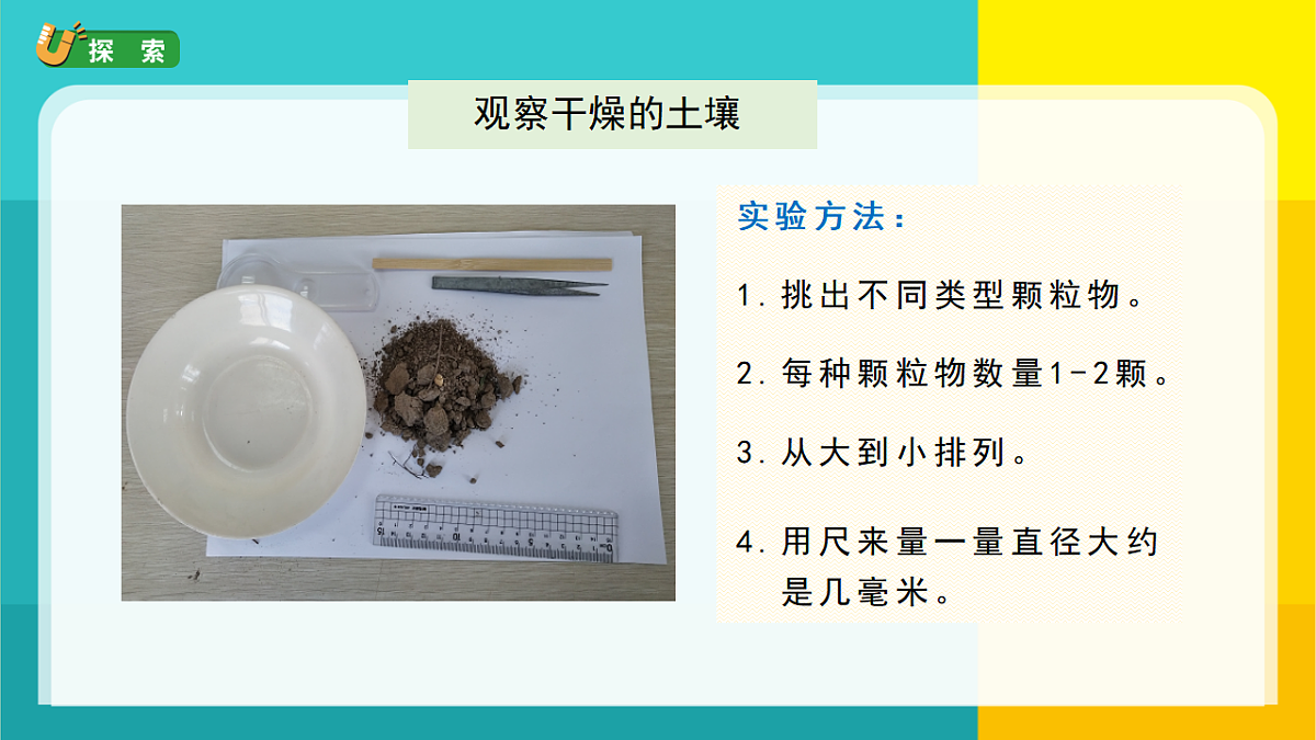 6.观察土壤第5页