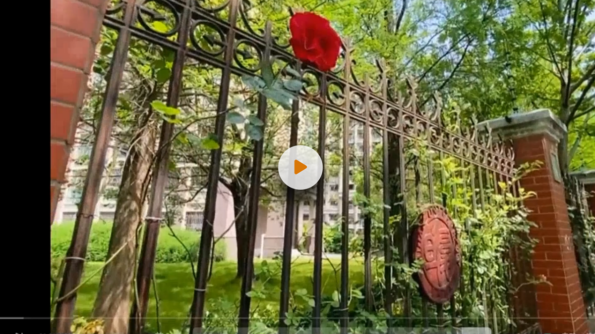 《邓小平爷爷植树》（含课后习题）第2页
