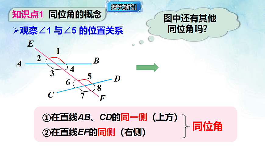 17813654第5页
