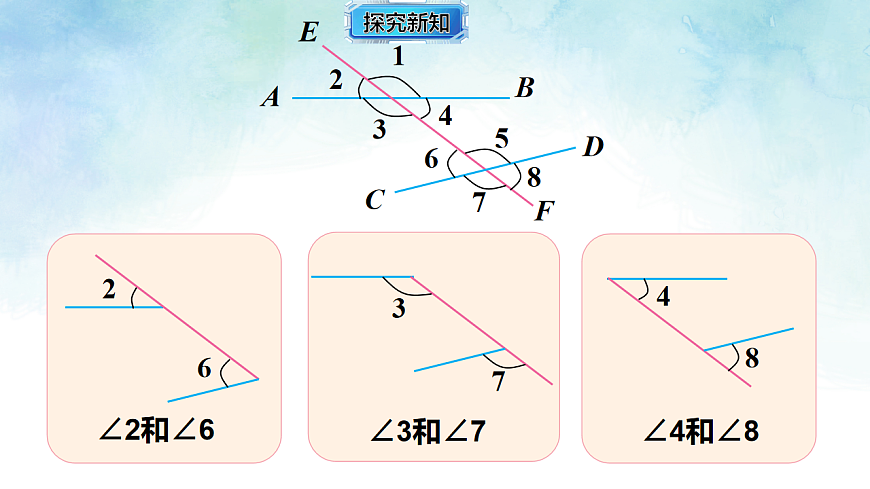 17813654第6页