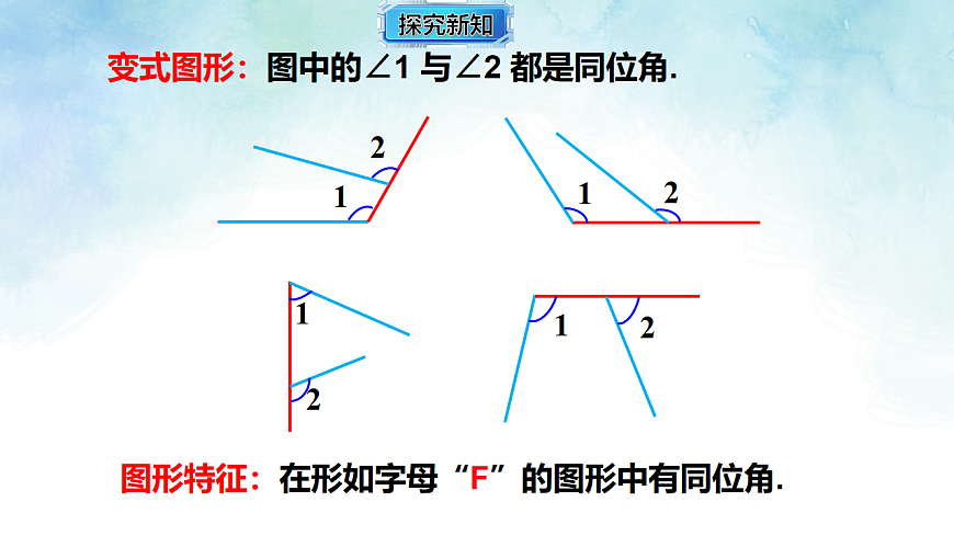 17813654第7页