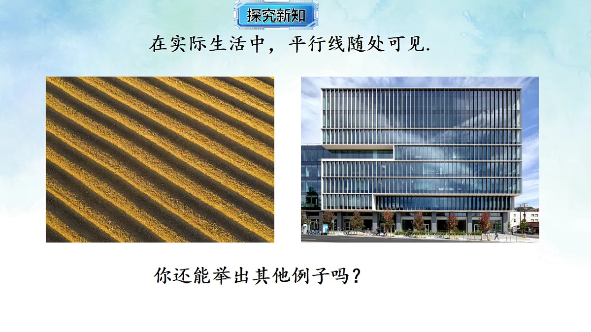 17813655第8页