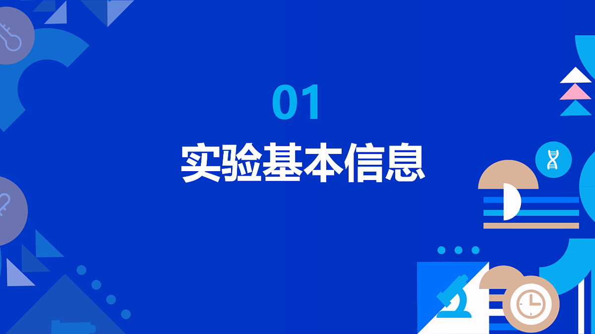 17813881第3页