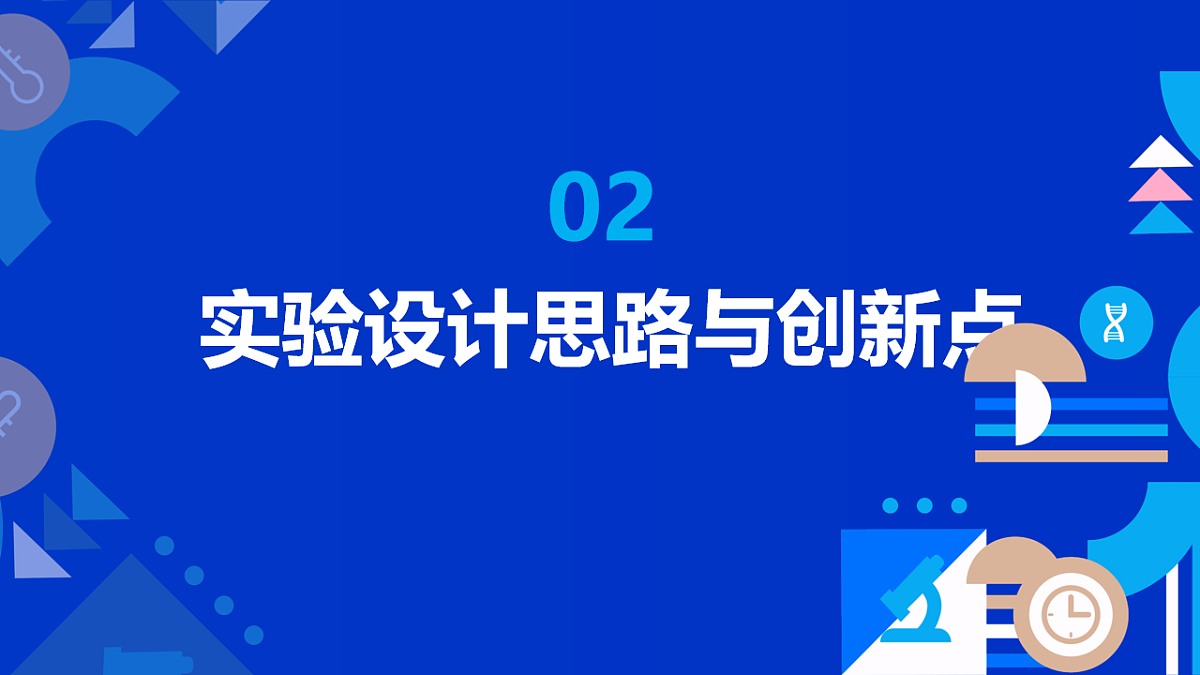 17813881第5页