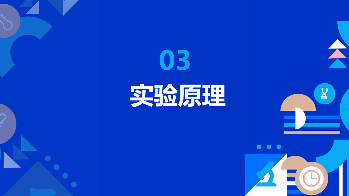 17813881第8页