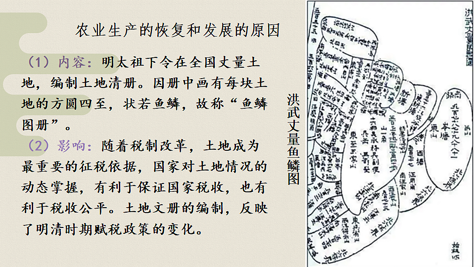 17814731第4页
