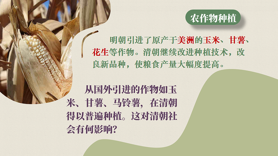 17814731第7页