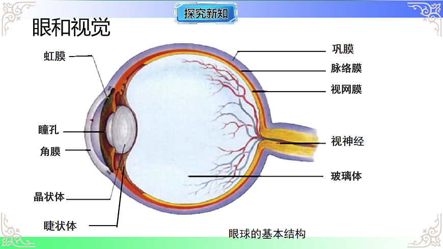 17814800第3页
