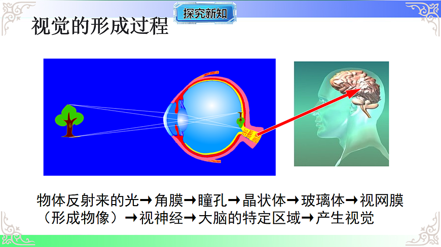 17814800第7页