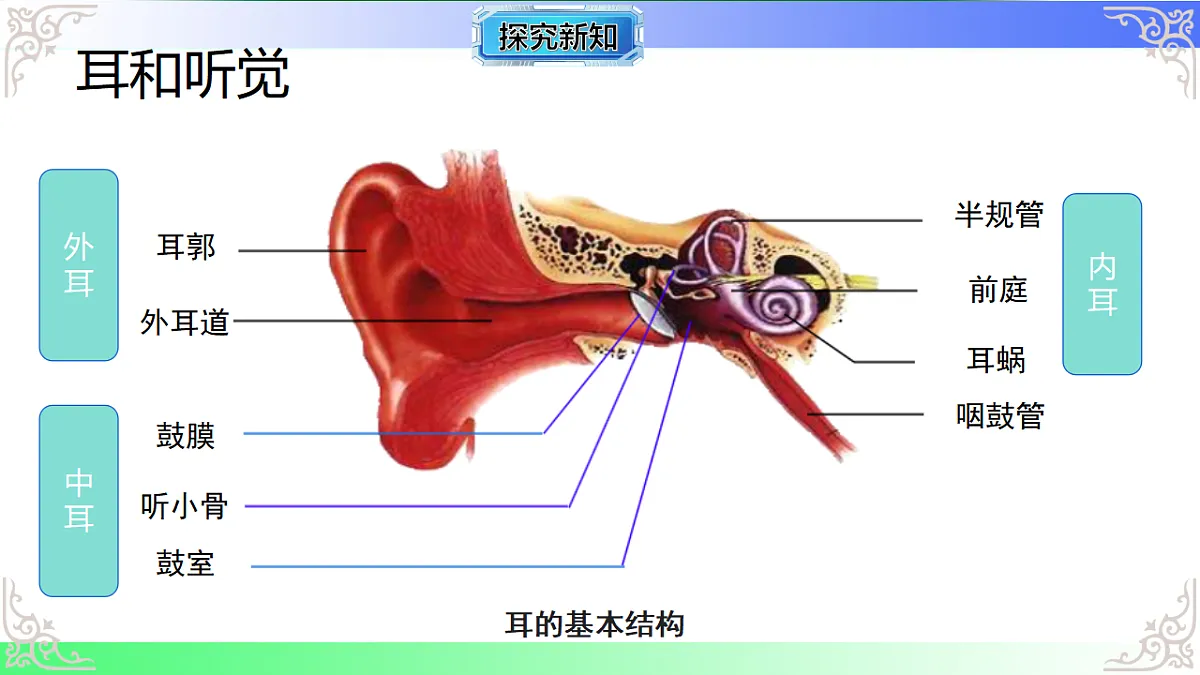 17814801第3页
