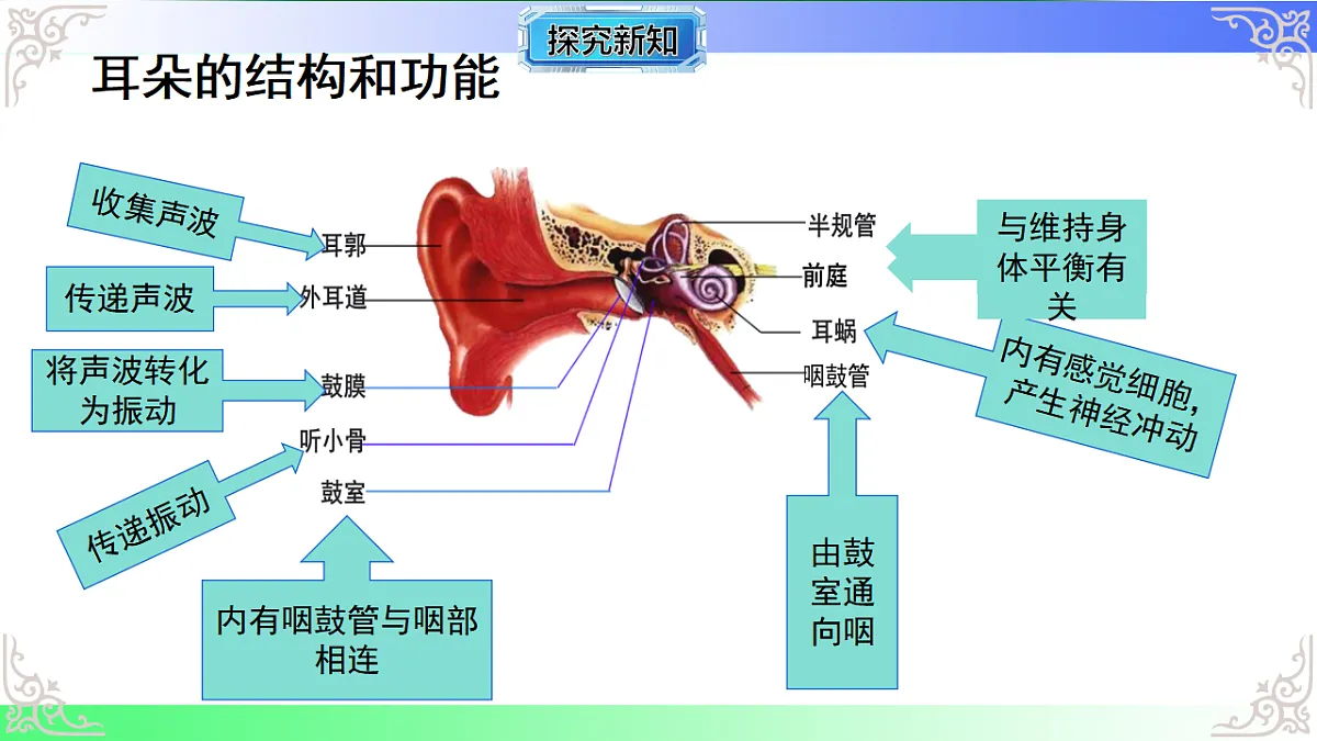 17814801第4页