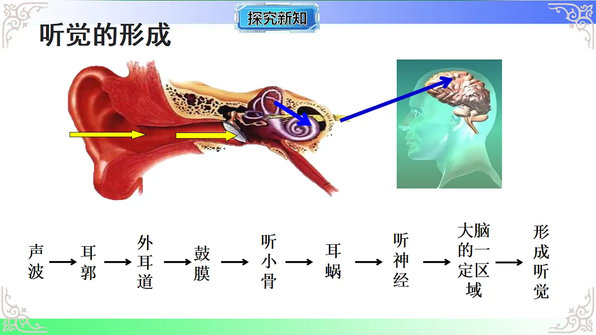17814801第5页