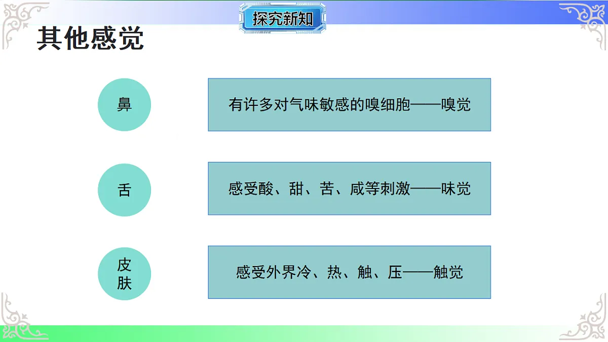 17814801第7页