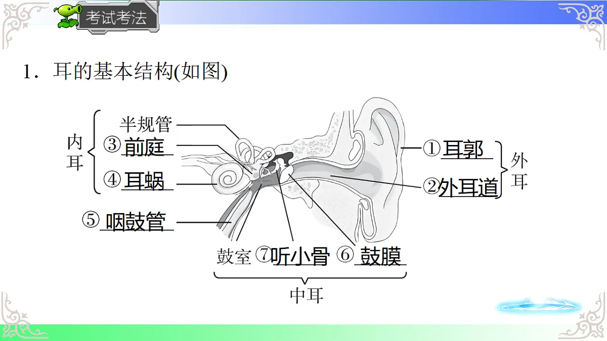 17814801第8页