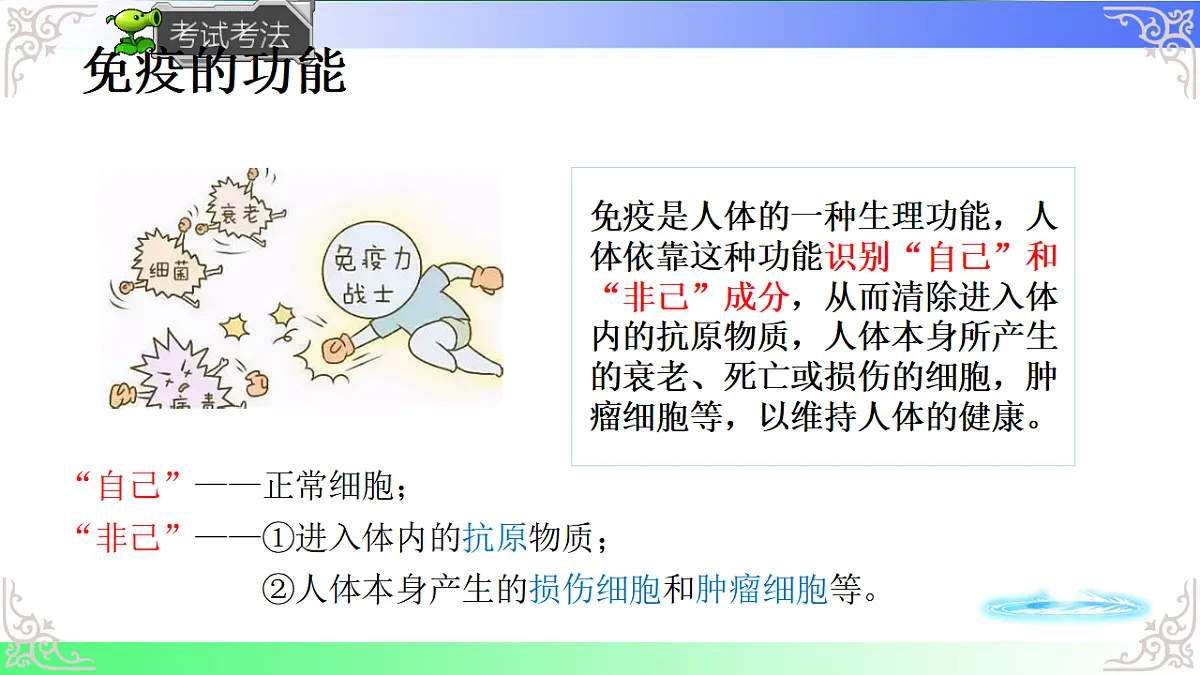 17814804第4页