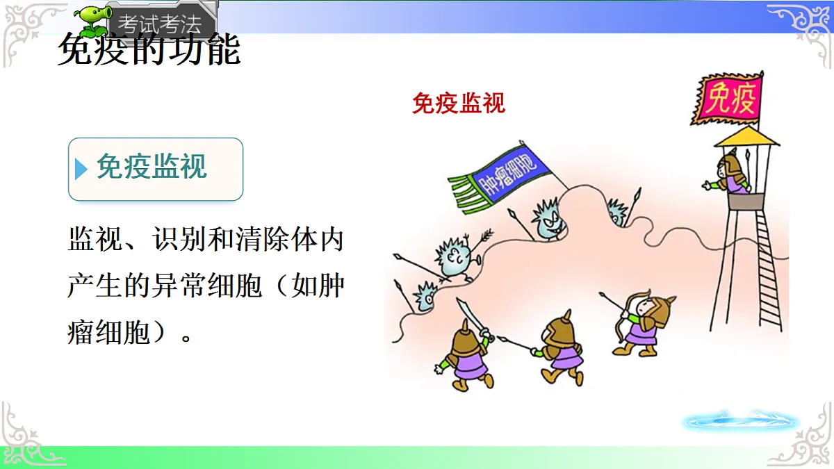 17814804第7页