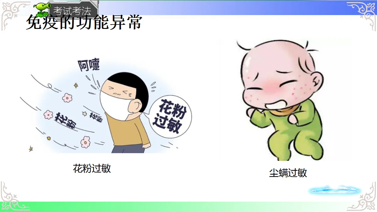 17814804第8页