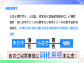4.2.2.1食物的消化（课件）2025-2026学年人教版（2024）生物七年级下册