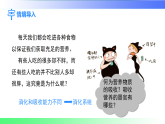 4.2.2.2营养物质的吸收（课件）2025-2026学年人教版（2024）生物七年级下册