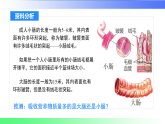 4.2.2.2营养物质的吸收（课件）2025-2026学年人教版（2024）生物七年级下册