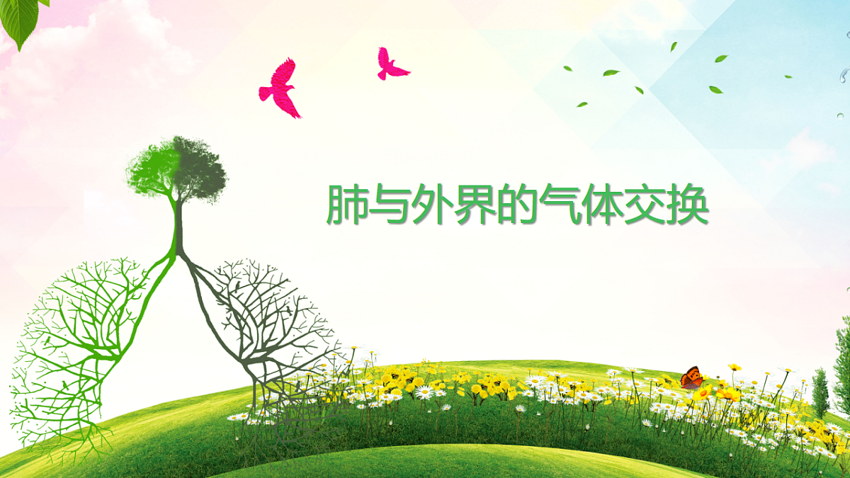 17814809第4页