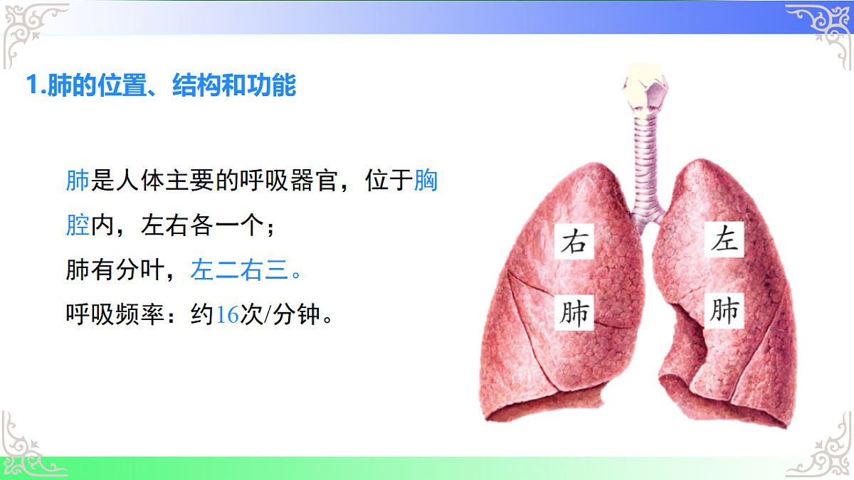 17814809第6页