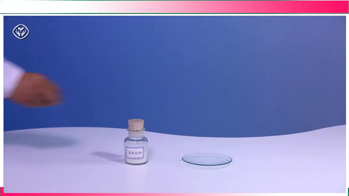 17814941第6页