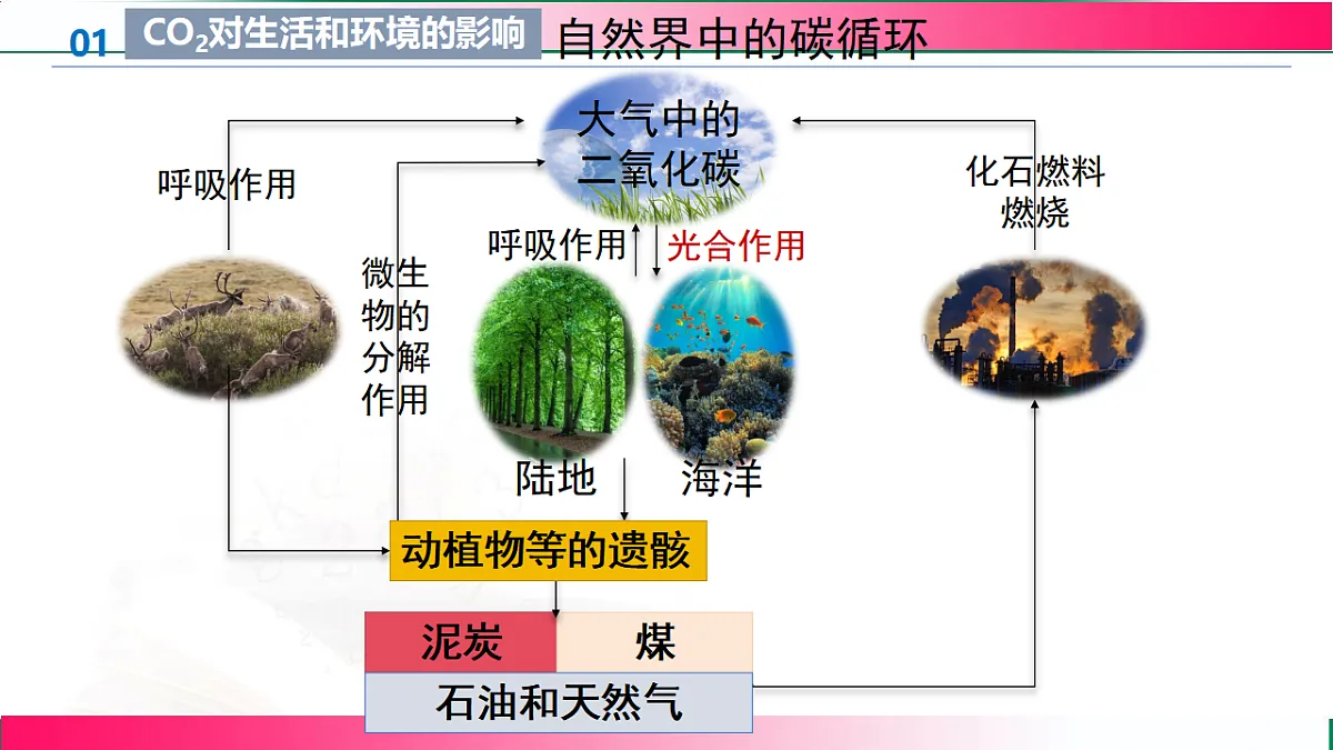 17814965第6页