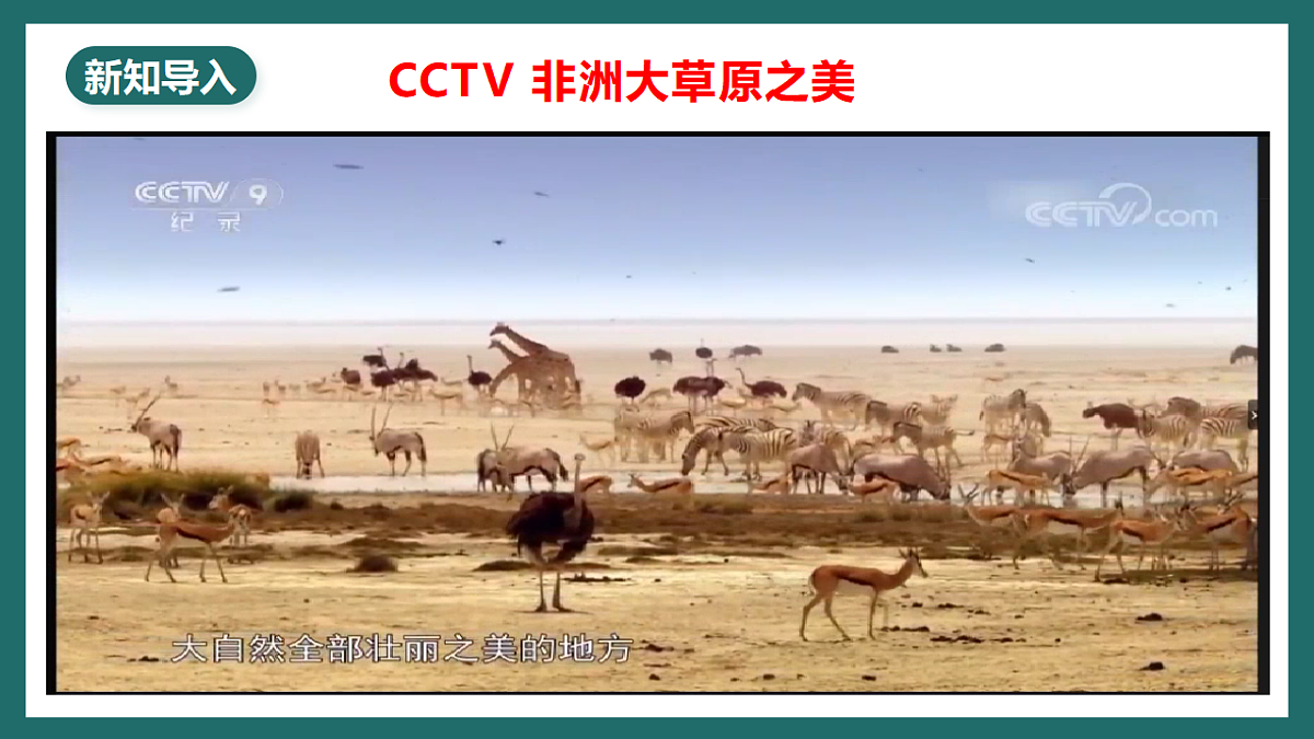 人教版（新课标）地理七下9.3.1《撒哈拉以南非洲》课件第4页