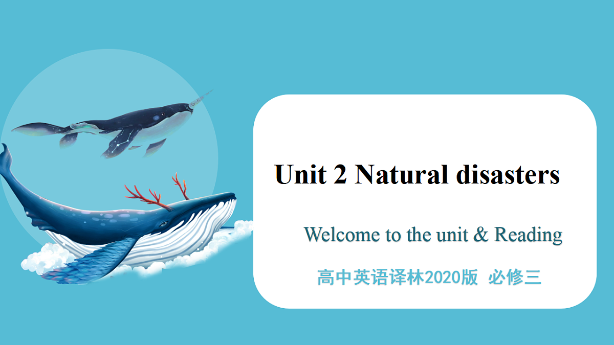 17815108第1页