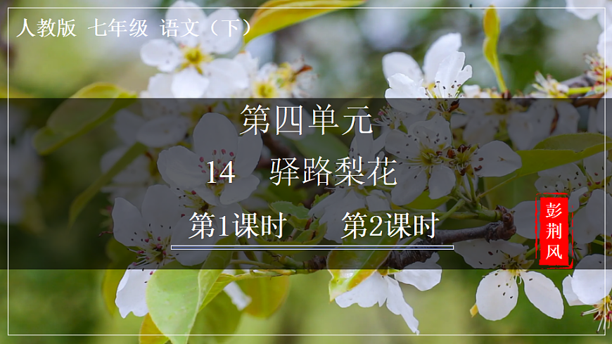 14 驿路梨花第1页