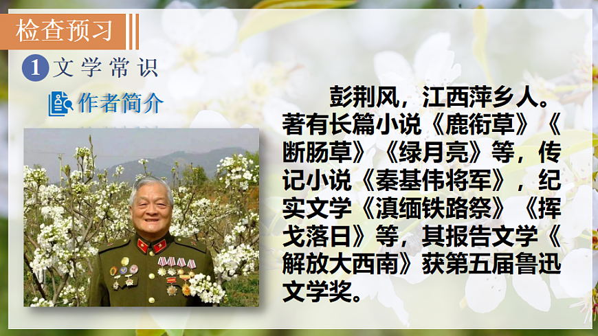 14 驿路梨花第4页