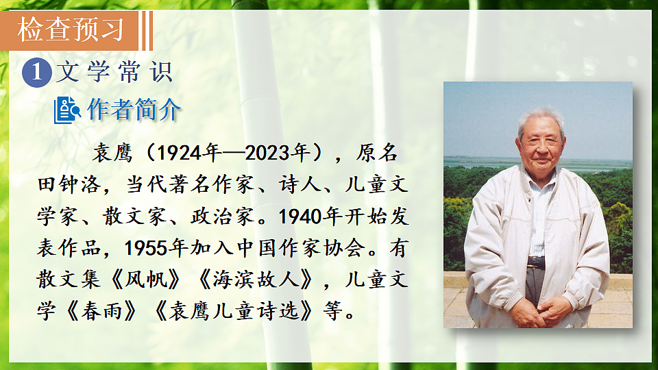 18　井冈翠竹第3页