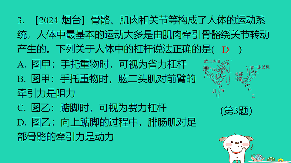 17816494第4页