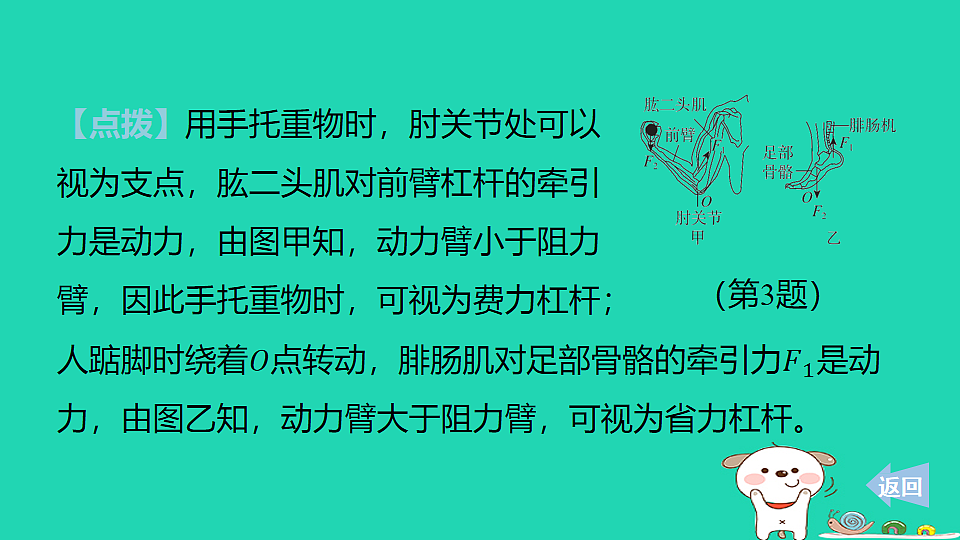 17816494第5页