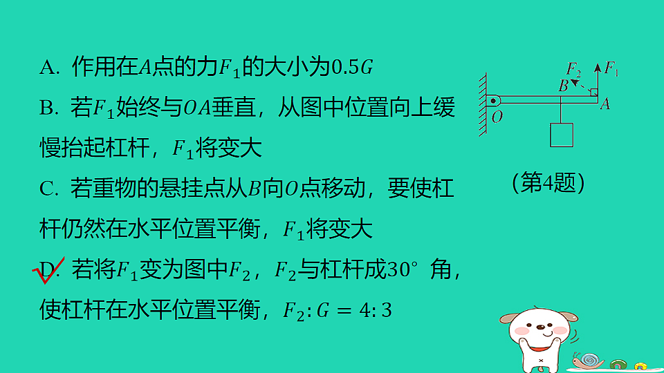 17816494第7页