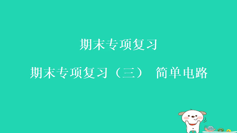 17816495第1页