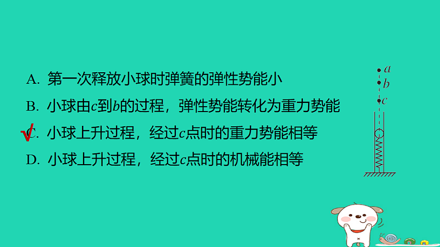 17816496第3页