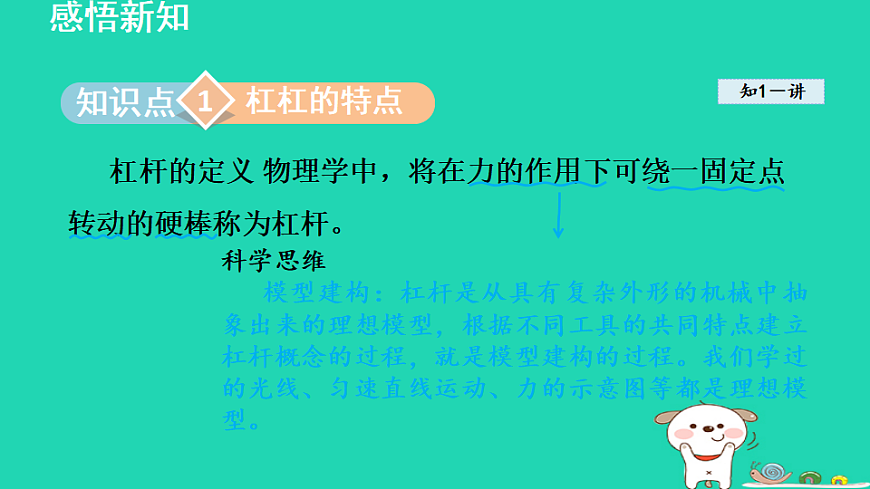 17816498第3页