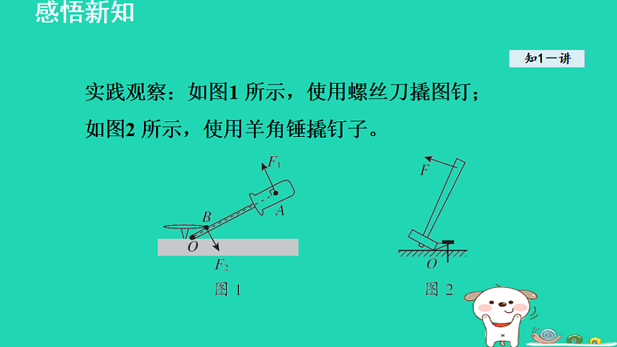 17816498第4页
