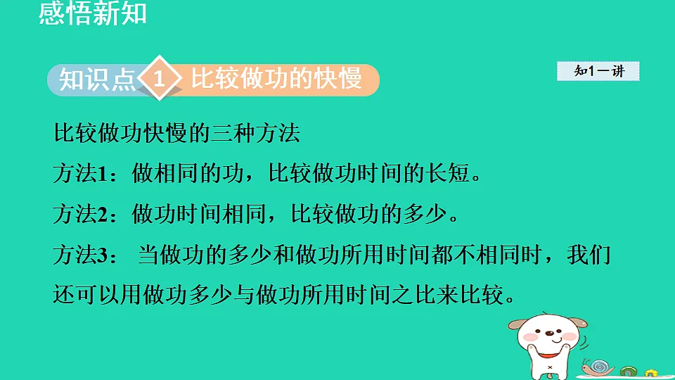 17816501第3页