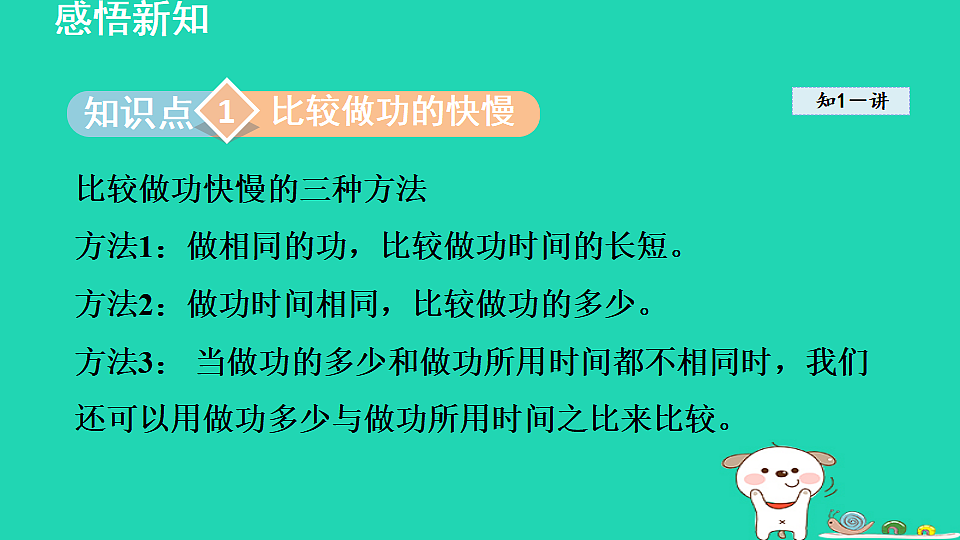 17816501第3页