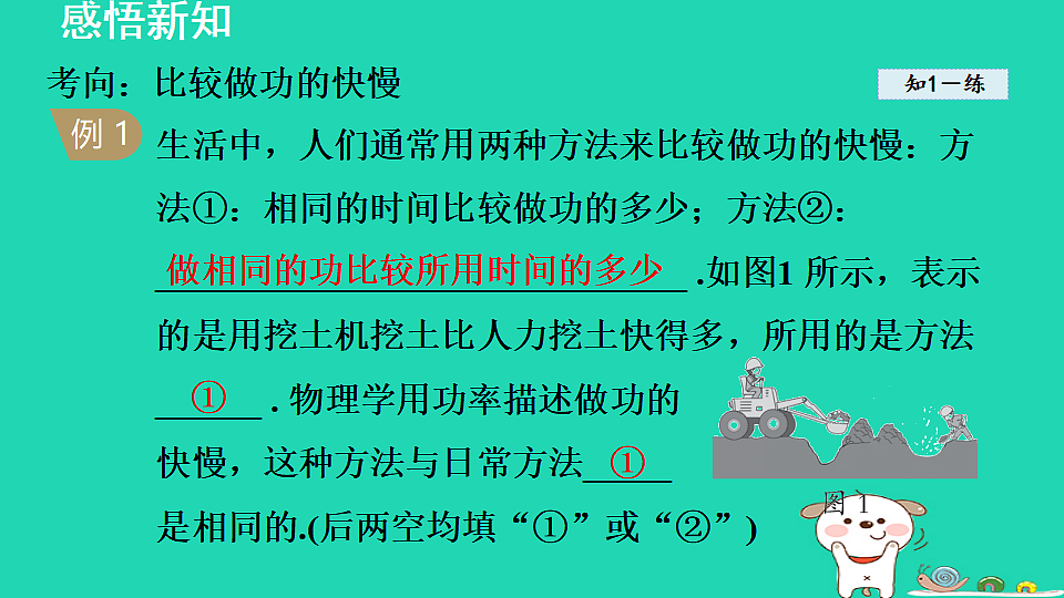 17816501第5页
