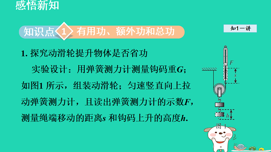 17816502第3页