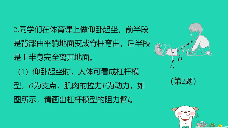 17816517第4页
