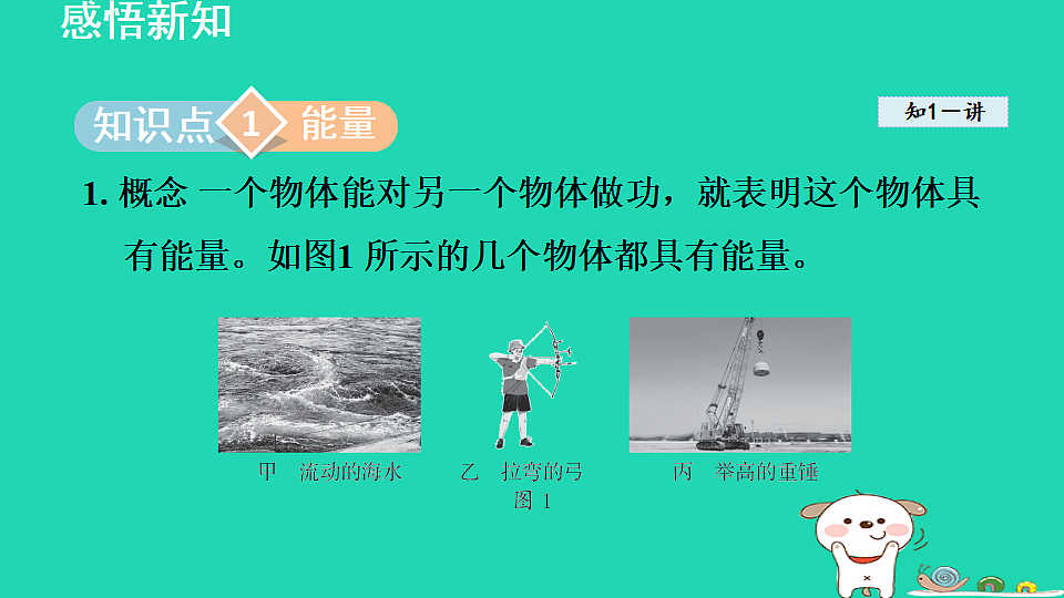 17816518第3页