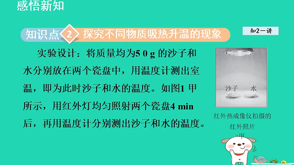 17816520第7页