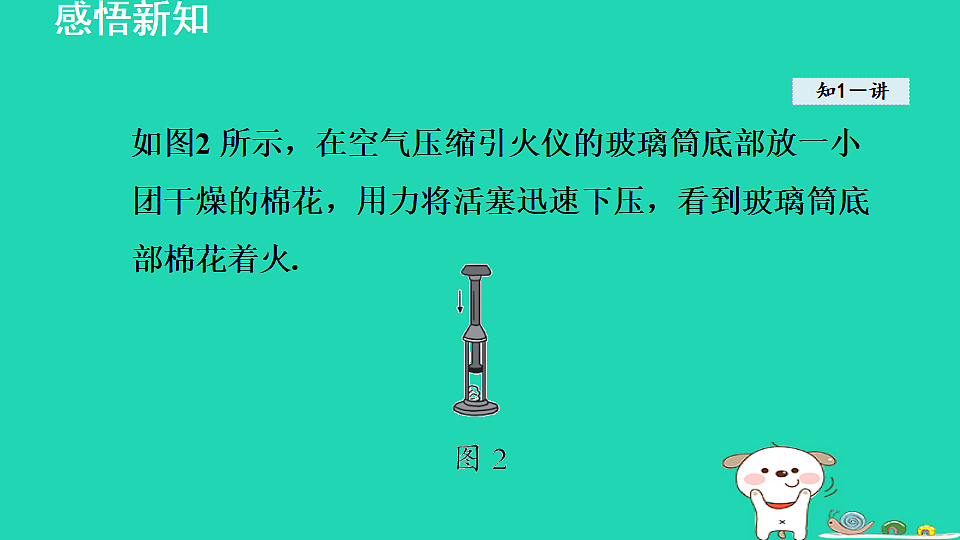 17816521第4页