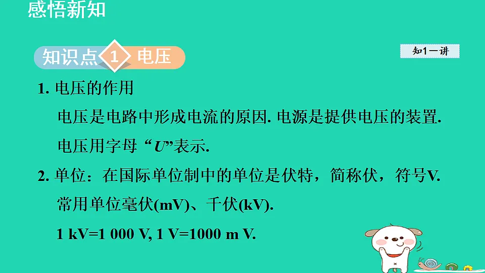 17816533第3页