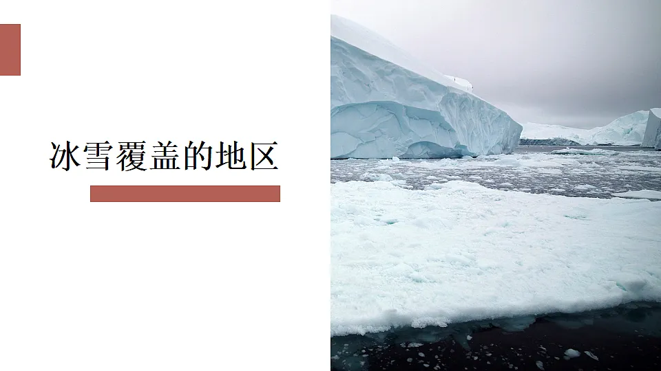 17816553第3页